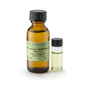 Ammi Visnaga Essential Oil, Morocco