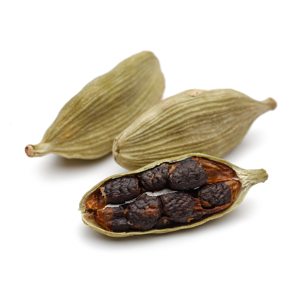 Cardamom CO2 Select Extract